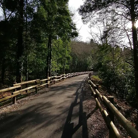 Casa de hóspedes Bikeinn Vouzela